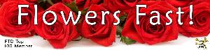 Flowers Fast logo